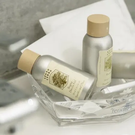 Gallery 101 3* روما